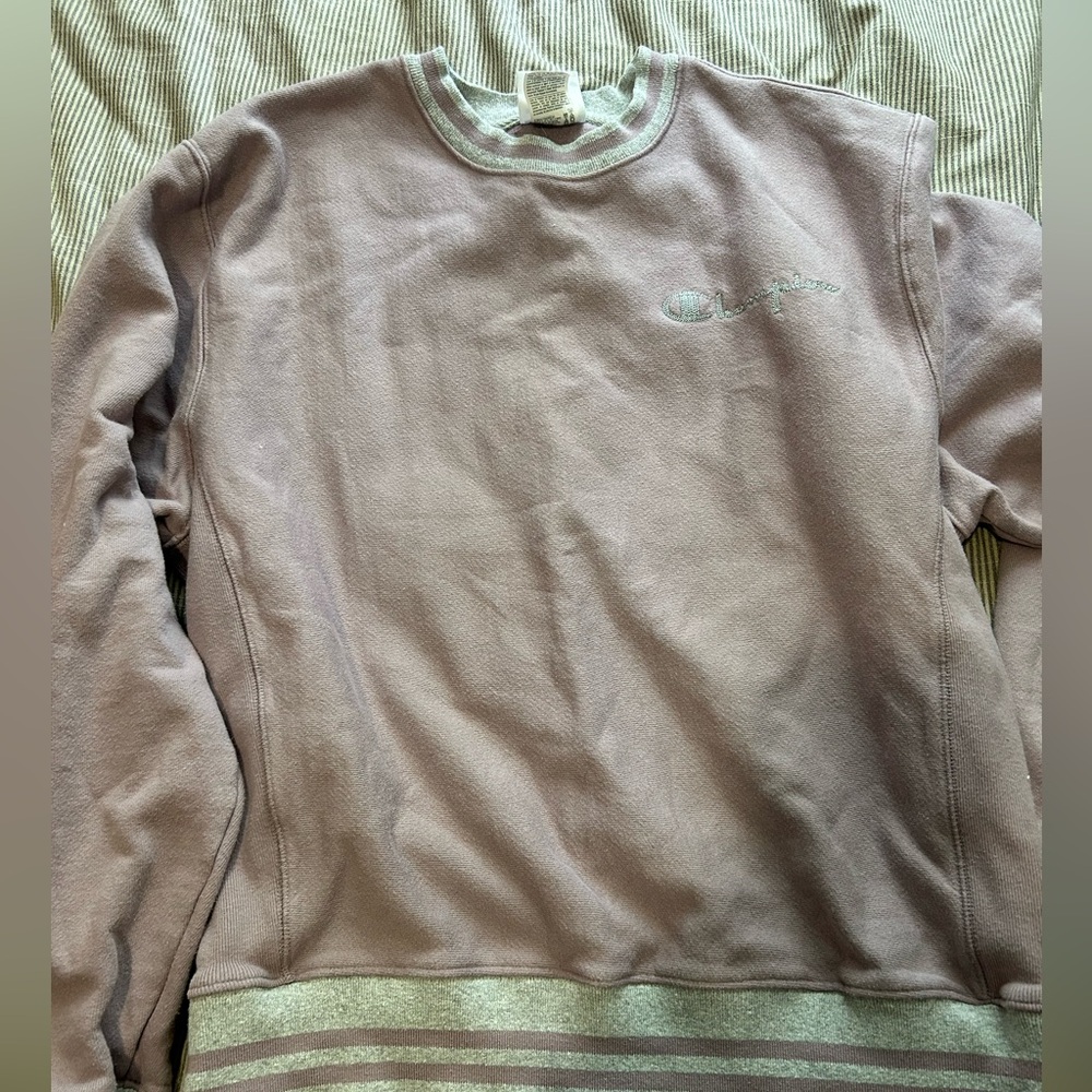 Purple champion hoodie